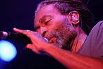 Bobby McFerrin. Ilustrační foto.