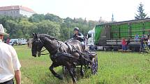 Vozatajské závody přilákaly v sobotu do Rosic na Brněnsku okolo dvě stě padesáti lidí. Fandili poníkům i tažným koním.