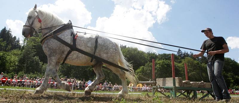 Tak trochu jinému parkuru mohli lidé přihlížet v sobotu odpoledne v Rosicích na Brněnsku. Na soutěž vozatajů se tam sjeli majitelé se svými statnými koňmi, kteří například předvedli, jak dokáží utáhnout náklad těžší než jednu tunu.