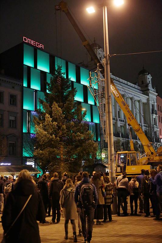 Koňské spřežení přivezlo na brněnské náměstí Svobody vánoční strom z bílovických lesů.