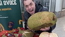 Maxijedlíka Jaroslava Němce nezastavilo ani extrémně páchnoucí ovoce durian.