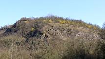 Místo je chráněné i kvůli slepencovým skalám, které obklopují přirozené koryto řeky Rokytná.