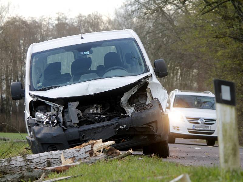 Silný vítr lámal stromy u silnice mezi Valtrovicemi a Křidlůvkami. Na projíždějící dodávku Peugeot jeden ze stromů spadnul. 