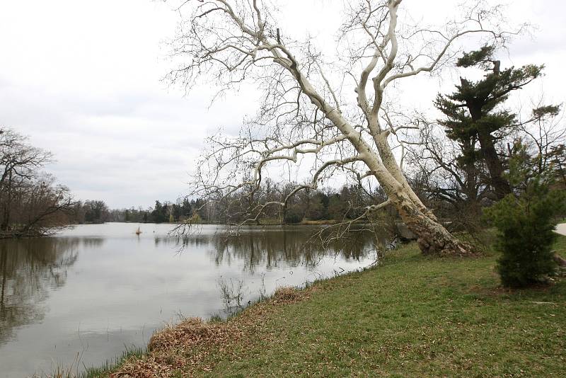 Lednice 28.3.2019 - Lednický zámecký park