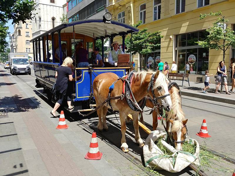 Centrum Brna se o víkendu vrátilo o sto let zpátky v čase. Konaly se zde totiž tradiční Dny dopravní nostalgie, které zpestřili se svými vozy také účastníci závodu historických vozidel 1000 mil československých.