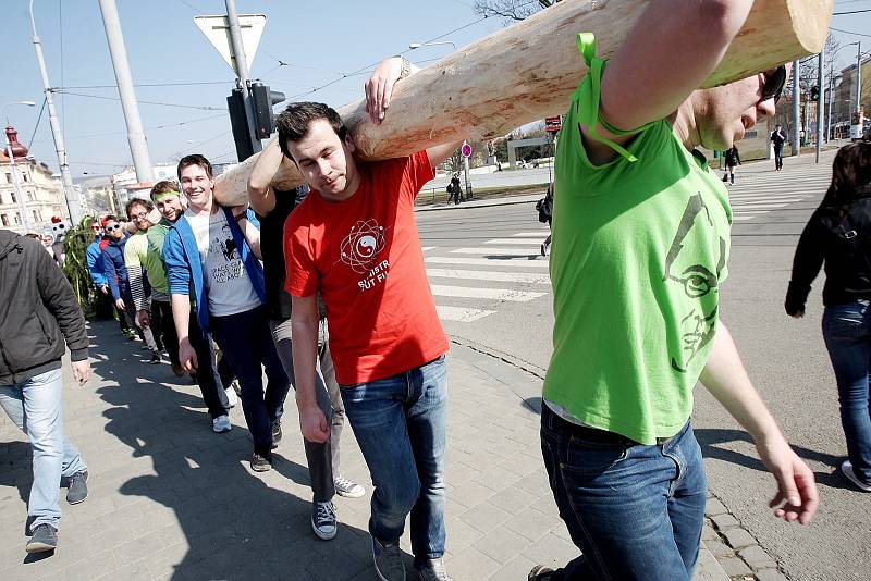 Stavbou tradiční májky zahájili studenti brněnských univerzit majálesové oslavy.