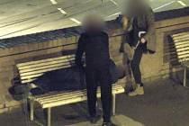 Pětatřicetiletý muž usnul na lavičce v brněnském parku na Baštách, toho využili kolem druhé hodiny v noci dva mladíci ve věku devatenácti a dvaceti let. Začali mu prohledávat kapsy, zatímco třetí mladý muž postával poblíž.