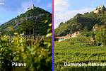 Pohledy přes vinice na zříceninu hradu Děvičky na Pálavě a zříceninu hradu Dürnstein v Rakousku.