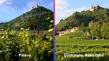 Pohledy přes vinice na zříceninu hradu Děvičky na Pálavě a zříceninu hradu Dürnstein v Rakousku.