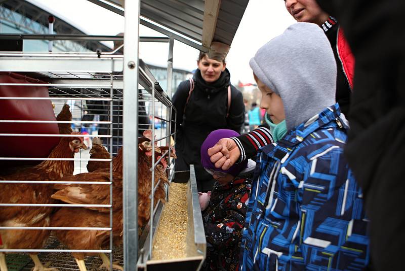 Na brněnském výstavišti začal v neděli veletrh TECHAGRO, jeden ze tří největších zemědělských veletrhů v Evropě.