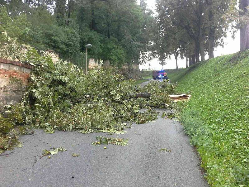 Jihomoravští hasiči se celou noc nezastavili. Bouřky a vítr v noci na pátek porážely stromy, desítky tisíc lidí byly bez elektřiny.