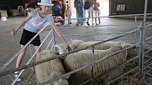 Ovčácké slavnosti spojené s výstavou ovcí a koz Ovenálie 2012 u Malhostovic.