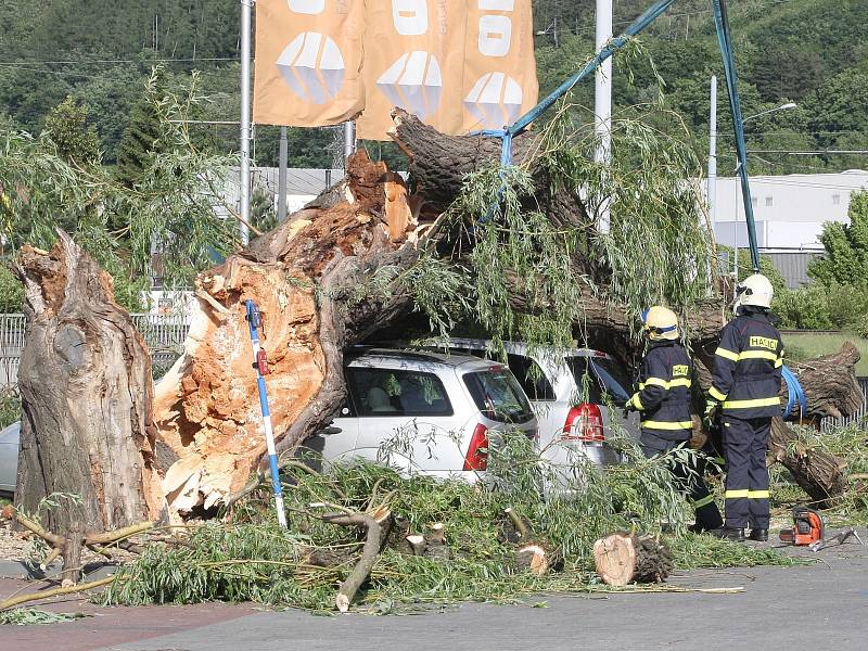 Jeli na víkendový nákup. Když se ale vrátili k autu, zjistili, že na střeše jim mezitím přistála vzrostlá vrba.