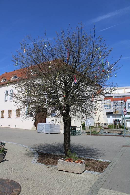 Ručně vyrobené kraslice od místních zdobí Velikonoční strom ve Šlapanicích na Brněnsku.