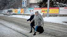 Čtvrteční ráno se v Brně neslo ve znamení hustého sněžení a bílé pokrývky. Chodci se museli vypořádat s klouzajícími chodníky, řidiči zase museli být opatrní na silnicích.