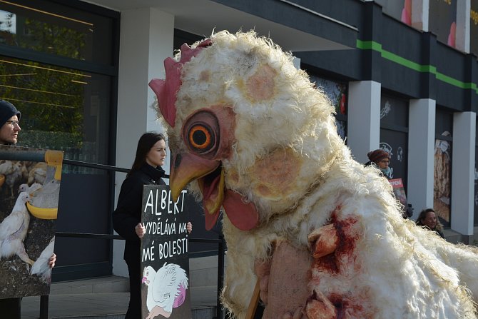 Aktivisté upozorňovali na podmínky chovu kuřat před brněnskými supermarkety.