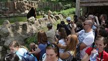Pokřtěno. V sobotu v pravé poledne se sešlo několik desítek lidí v brněnské zoologické zahradě, aby přihlíželo dvojitému křtu. Medvědi i rosomáci v zoo se tak rozrostli o Bruna a Vasila.