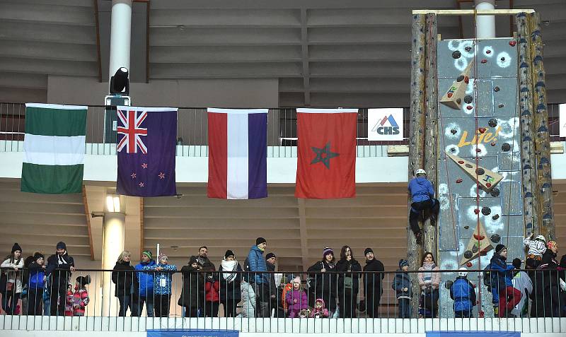 Olympijský festival v areálu brněnského výstaviště.