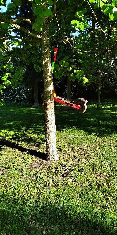 Někteří uživatelé sdílené koloběžky parkují třeba do koruny stromů v brněnském parku Lužánky.