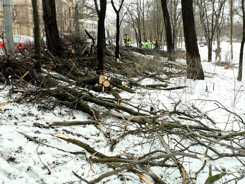 Nehody a spadlé stromy dnes komplikovaly provoz v Brně