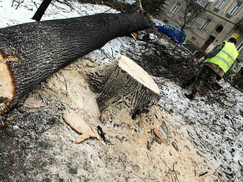 Nehody a spadlé stromy dnes komplikovaly provoz v Brně