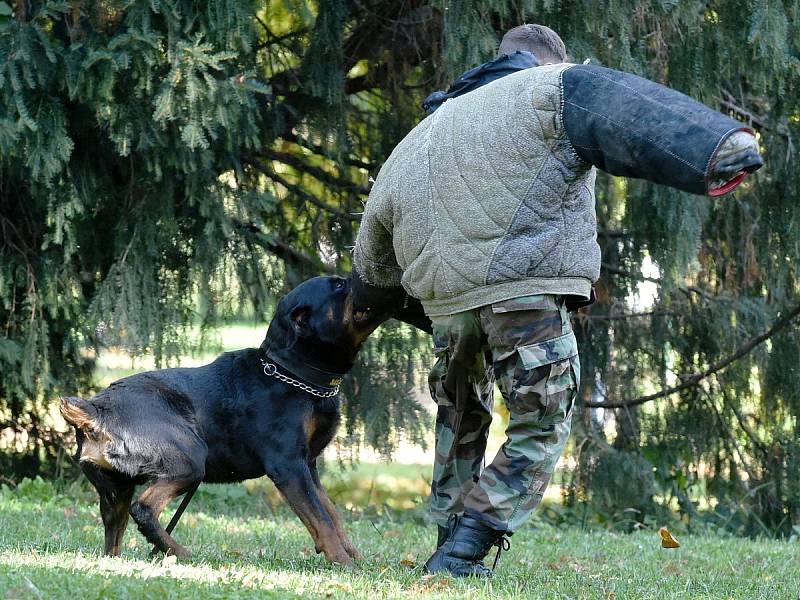 Sobotní akce s názvem Chcete nás? v Lužánkách