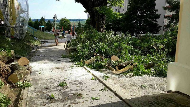 Popadané stromy v Rolnické ulici v Brně. Téměř dvě desítky výjezdů hasičů si vyžádaly páteční bouřky v Jihomoravském kraji.