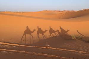 Meteorologové předpovídají, že v pátek může na naše území doputovat písečný prach z africké Sahary.