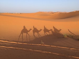 Meteorologové předpovídají, že v pátek může na naše území doputovat písečný prach z africké Sahary.
