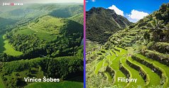 Vinice Šobes na Znojemsku a terasovitá příroda na Filipínách.
