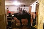 Jihomoravští hasiči v sobotu zachraňovali koně.