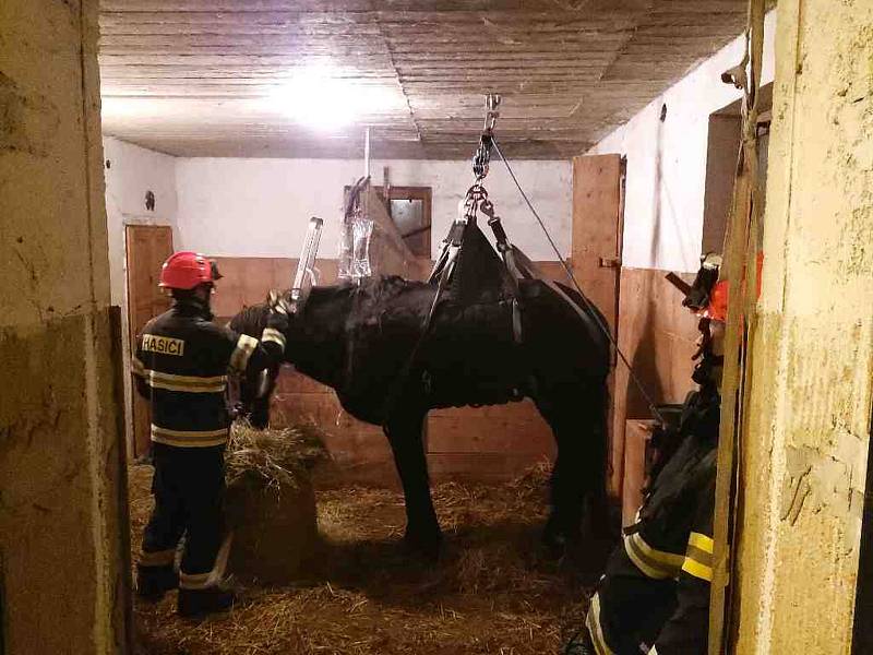 Jihomoravští hasiči v sobotu zachraňovali koně.