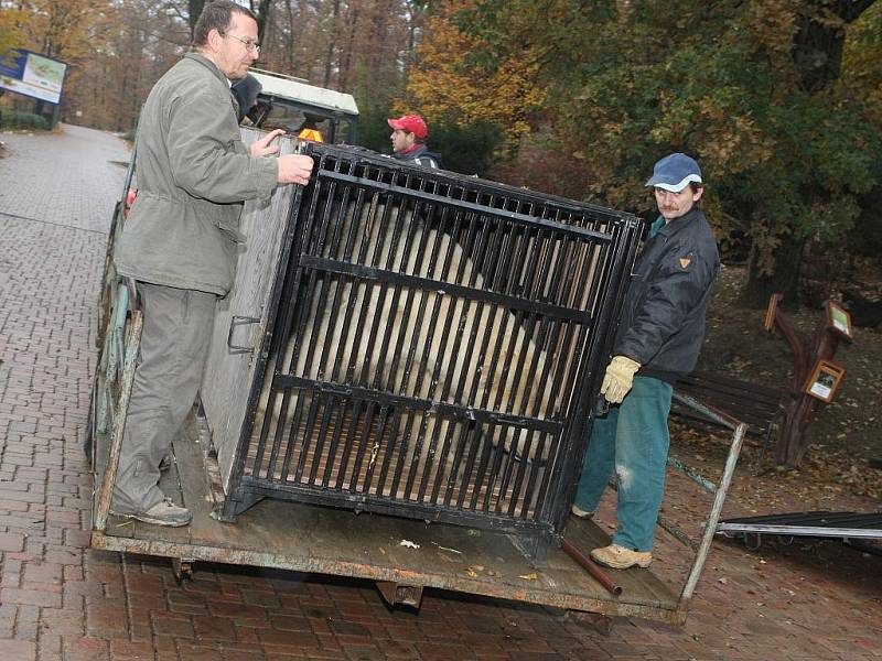 Medvěd Umca se přestěhoval z brněnské zoologické zahrady do Bratislavy.