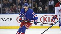 V New Yorku Rangers Libor Hájek prožil první kompletní sezonu v NHL, aniž by musel putovat na farmu.