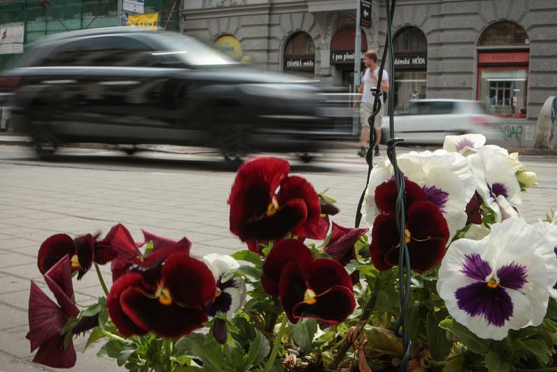 Květinovou výzdobu si mohou nyní lidé prohlédnout v Brně na zábradlí tramvajové zastávky Antonínská nedaleko lužáneckého parku. Při oslavách Týdne města je tam umístili členové iniciativy U křížku.