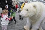 Lední medvěd upozorňoval v Brně na špatnou situaci na Arktidě.