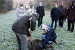 Vánoční strom od soboty stojí na brněnském náměstí Svobody. Šestnáctimetrovou jedli přivezli koňským povozem z Bílovic nad Svitavou.