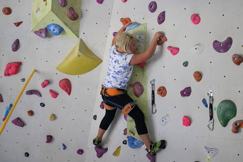 Příměstský lezecký tábor v brněnských Štýřicích láká děti na šestnáctimetrovou stěnu.