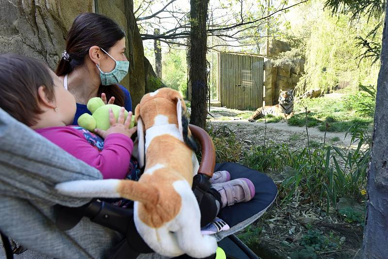 Otevření zoologické zahrady a obchodů v Brně.