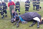 Hasiči a veterináři zachraňovali koně, který se v Lelekovicích na Brněnsku propadl do technologické šachty bazénu. 