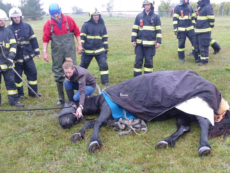 Hasiči a veterináři zachraňovali koně, který se v Lelekovicích na Brněnsku propadl do technologické šachty bazénu. 