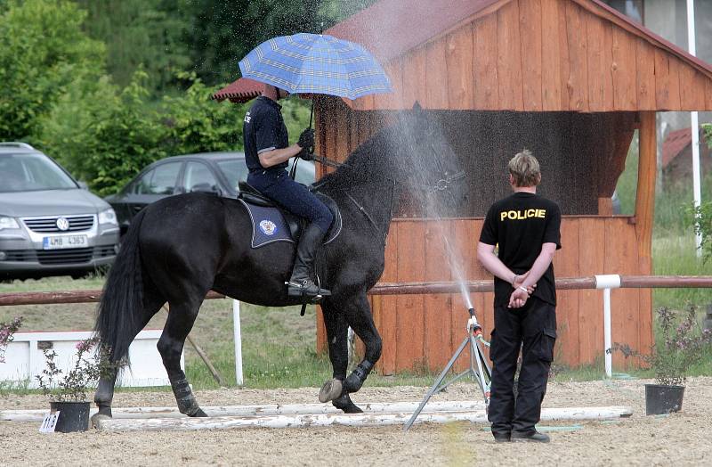 Především rodiny s dětmi přilákalo v sobotu na brněnskou Panskou Líchu Mezinárodní Policejní mistrovství České republiky v jezdectví. Soutěžící se utkali ve třech disciplínách.