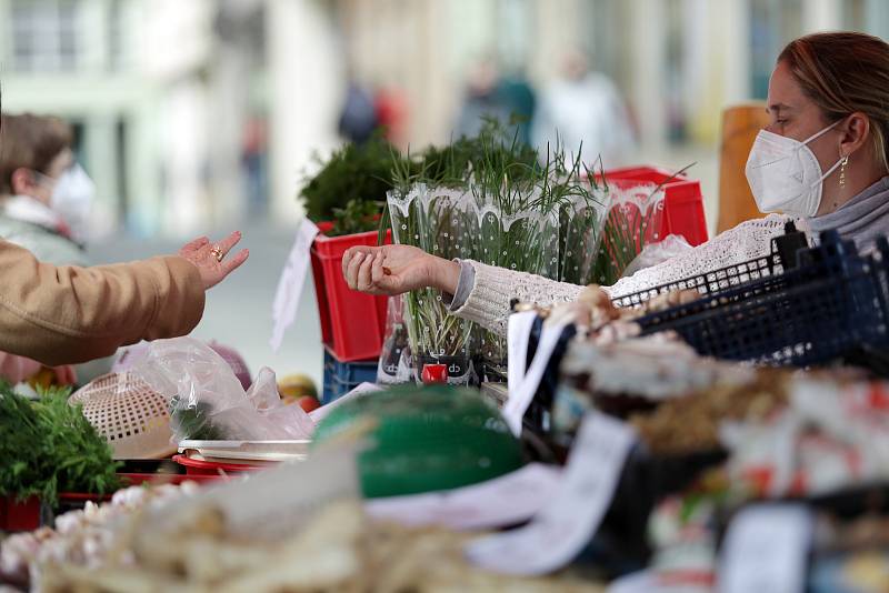 Náměstí Zelný trh opět dostálo svému jménu. Několik prodejců zeleniny a květin mohlo díky uvolněním protiepidemických opatření opět rozložit své stánky.