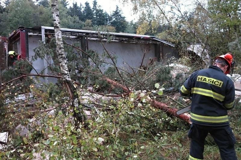 Převrácený kamion s prasaty zablokoval dálnici D1 na 168. kilometru u Devíti křížů. Uhynuly desítky vepřů.