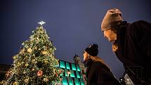 Vánoční strom na náměstí svobody. / Foto: Pocket Media