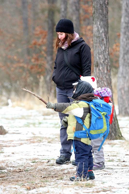 Redaktorka Deníku Jana Vondrová si vyzkoušela práci vychovatelky v Dětském lesním klubu Cestička Brno, který je jednou z brněnských lesních mateřských škol.