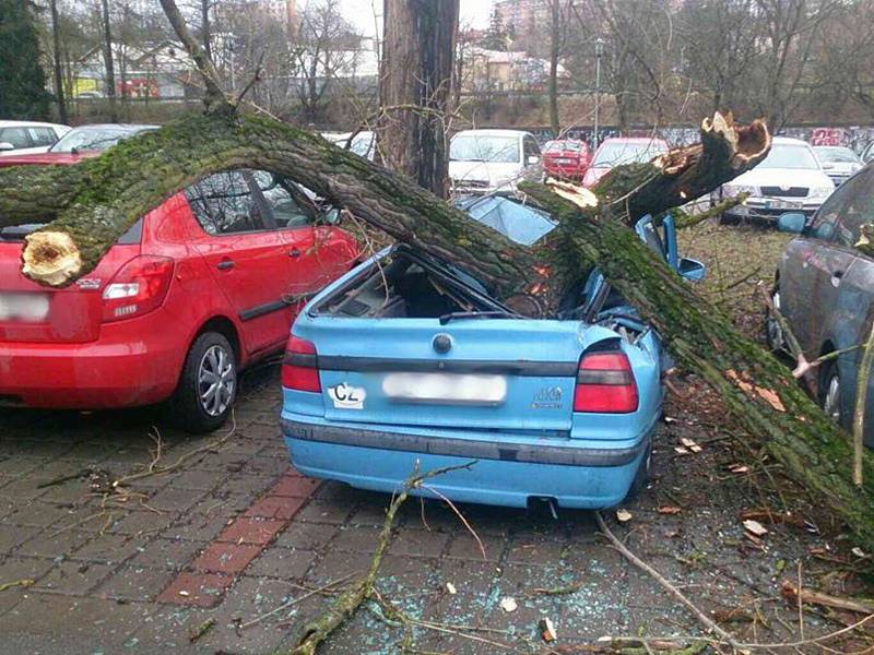 Desítky zásahů po celé jižní Moravě mají hasiči v úterý dopoledne v souvislosti se silným větrem. Některé stromy spadly i na auta.
