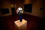 Nová výstava nazvaná …a nezapomeňte na květiny zdobí od čtvrtečního odpoledne prostory Pražákova paláce.