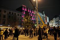 Koňské spřežení přivezlo na brněnské náměstí Svobody vánoční strom z bílovických lesů.