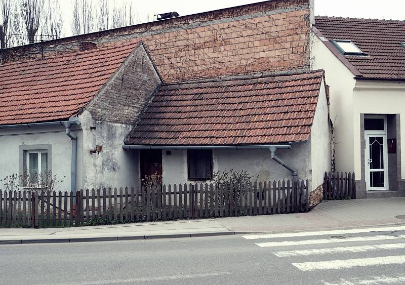 Procházka brněnským Starým Lískovcem zavede pozorného výletníka i do uliček, které vyhlížejí venkovsky. Nouze není ani o kytky v plném květu.